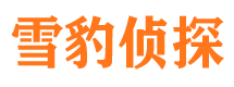 邵东市私家侦探
